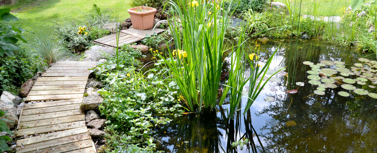 Fish and Garden Pond Design and Installation