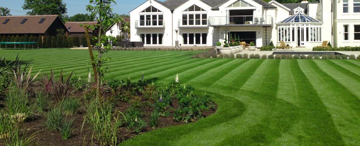 Grass Mowing, Maintenance and Cutting